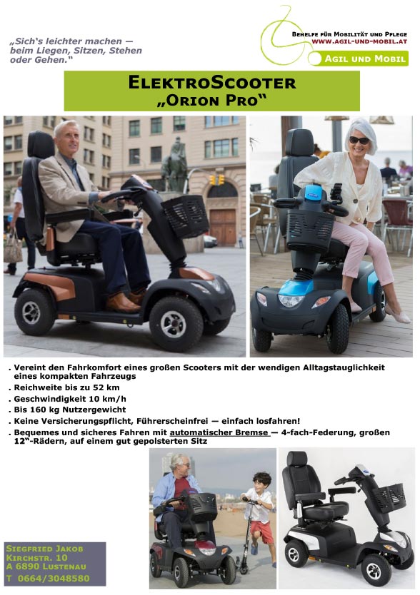 ElektroScooter „Orion Pro“