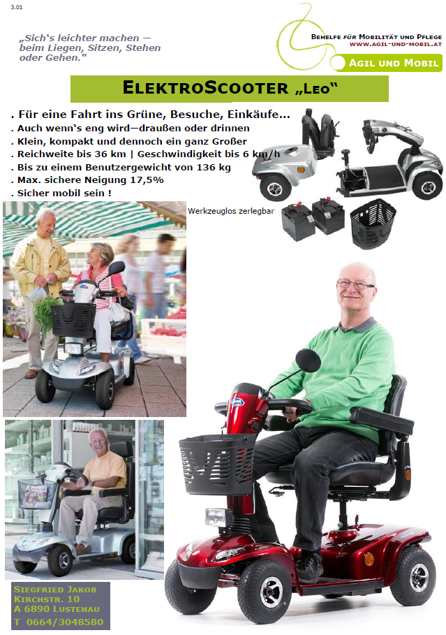 ElektroScooter „Leo“